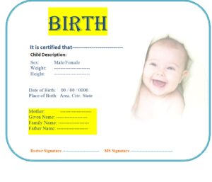 8 Simple Birth Certificate Templates Excel Word Template