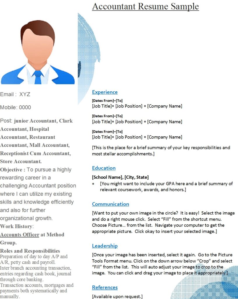 Senior Accountant Resume Template - Excel Word Template