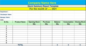 Customer Service Report Template - Excel Word Template