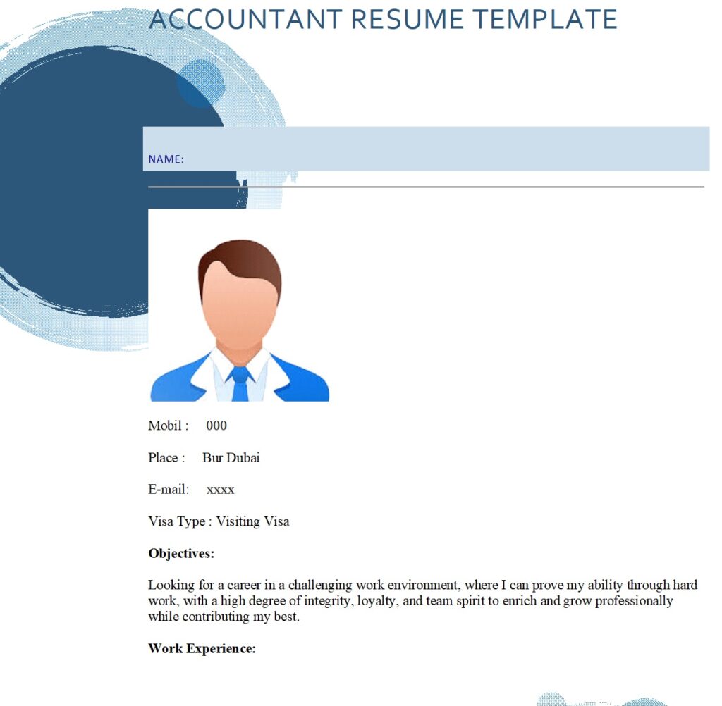 Basic Accountant Resume Template Excel Word Template