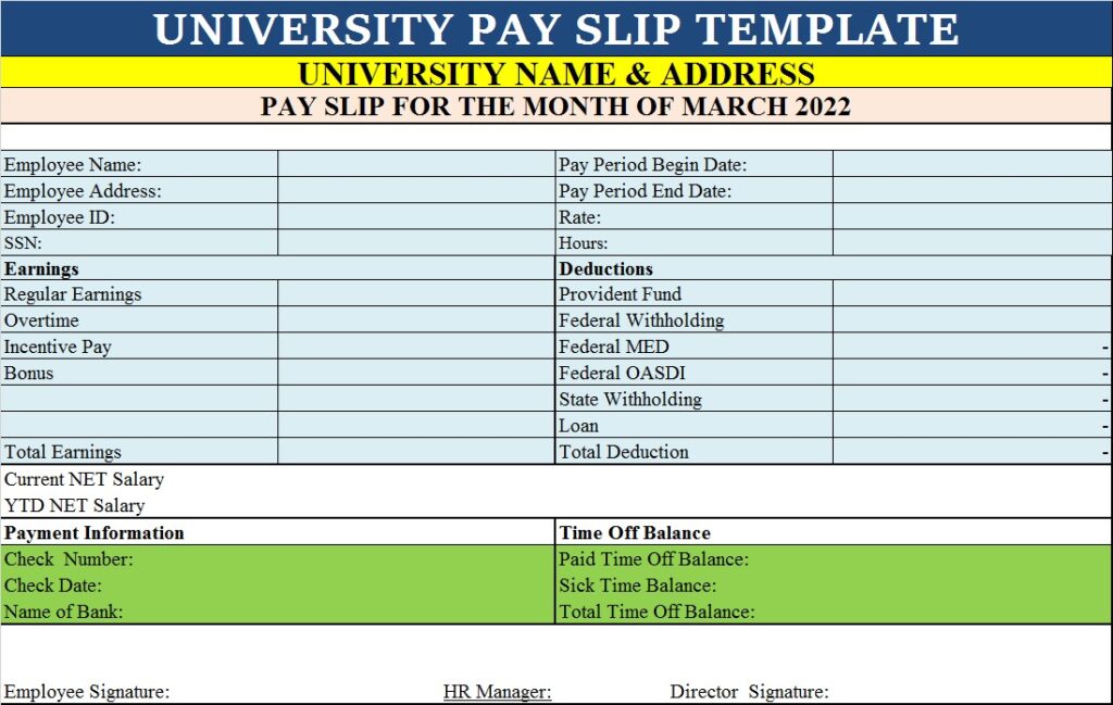 Educational Institute Pay Slip Template Excel Word Template